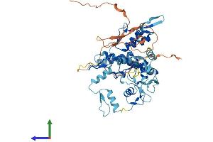 Protein Structure (PS) image for Histone H4 Transcription Factor (HINFP) (AA 1-503) protein (His tag) (ABIN7559476)