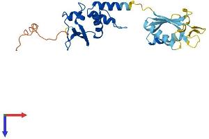 KCTD4 Protein (AA 1-259) (His tag)