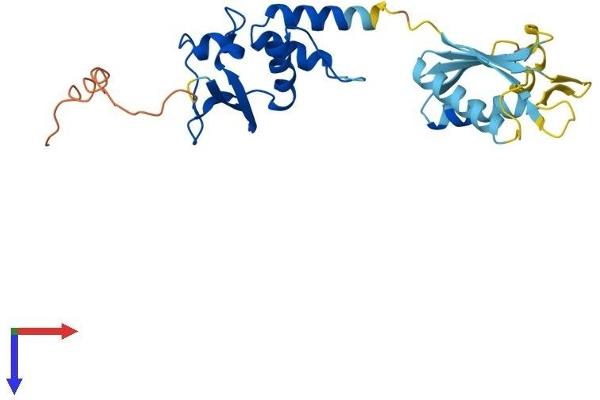 KCTD4 Protein (AA 1-259) (His tag)