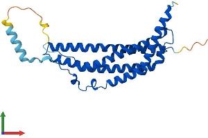 Protein Structure (PS) image for Proteasome (Prosome, Macropain) Activator Subunit 1 (PA28 Alpha) (PSME1) (AA 1-249) protein (His tag) (ABIN7556797)