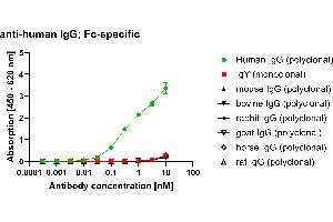 Different species IgG were coated on an ELISA plate at 100 ng. (Rekombinanter Maus anti-Human IgG (Fc Region) Antikörper (HRP))