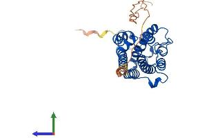 Protein Structure (PS) image for Heme Oxygenase (Decycling) 1 (HMOX1) (AA 1-289) protein (His tag) (ABIN7562880)