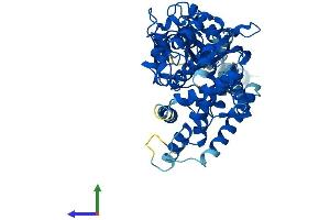 Protein Structure (PS) image for Cytochrome P450, Family 17, Subfamily A, Polypeptide 1 (CYP17A1) (AA 1-508) protein (His tag) (ABIN7546687)