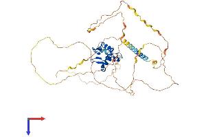 ETV1 Protein (AA 1-477) (His tag)