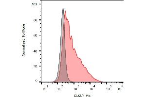 Separation of REH cells stained using anti-human CD271 (NGFR5) PE antibody (concentration in sample 0,33 μg/mL, red) from unstained REH cells (grey) in flow cytometry analysis (intracellular staining). (NGFR Antikörper  (PE))