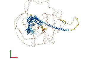 Protein Structure (PS) image for Mitogen-Activated Protein Kinase Kinase Kinase MLK4 (KIAA1804) (AA 1-1002) protein (His tag) (ABIN7564744)