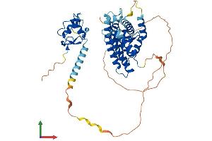 Protein Structure (PS) image for Nuclear Receptor Subfamily 5, Group A, Member 1 (NR5A1) (AA 1-462) protein (His tag) (ABIN7563142)