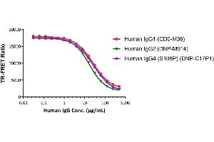 The kit has been used to detect different subclasses of Human IgG, which exhibit different IC50 results as expected.