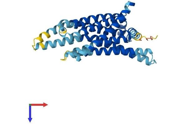 TAS2R3 Protein (AA 1-316) (His tag)