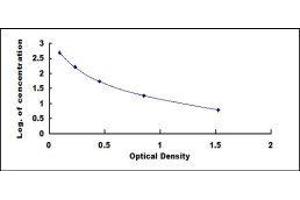 ELISA image for Lipotropin, beta - ELISA Kit (ABIN3159663) (Lipotropin, beta - ELISA Kit)