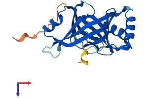 MED18 Protein (AA 1-208) (His tag)