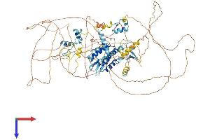 AlphaFold protein structure predicition of Mouse Recombinant Tshz2 Protein, UniprotID Q68FE9