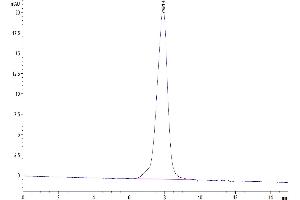 Size-exclusion chromatography-High Pressure Liquid Chromatography (SEC-HPLC) image for LI Cadherin (AA 23-787) protein (His tag) (ABIN7274306)