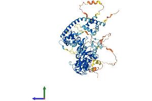 AlphaFold protein structure predicition of Mouse Recombinant Ezh2 Protein, UniprotID Q61188
