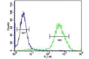 Flow Cytometry (FACS) image for anti-Chemokine (C-C Motif) Receptor 1 (CCR1) (AA 1-30) antibody (ABIN3030216)