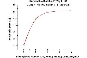 Immobilized Human IL-4 R alpha, Fc Tag (ABIN6731257,ABIN6809937) at 5 μg/mL (100 μL/well)can bind Biotinylated Human IL-4, Avitag,His Tag (ABIN3137668,ABIN5674029) with a linear range of 0. (IL4 Receptor Protein (AA 26-232) (Fc Tag))