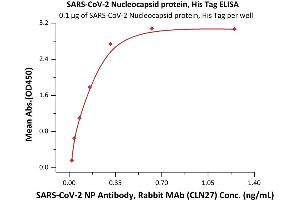 Immobilized SARS-CoV-2 Nucleocapsid protein, His Tag (ABIN6973217) at 1 μg/mL (100 μL/well) can bind SARS-CoV-2 NP Antibody, Rabbit MAb (CLN27) with a linear range of 0.