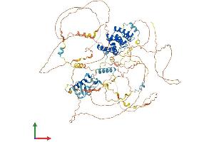 Protein Structure (PS) image for La Ribonucleoprotein Domain Family, Member 1B (LARP1B) (AA 1-914) protein (His tag) (ABIN7549014)