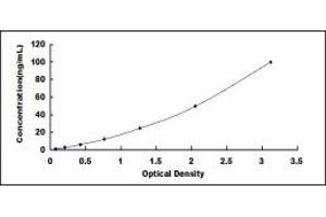 Typical standard curve (WNT5B ELISA Kit)