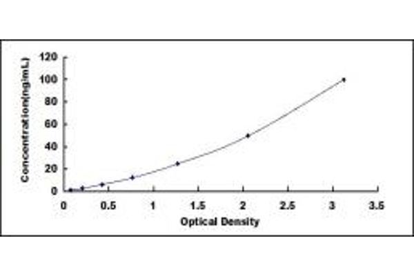 WNT5B ELISA Kit