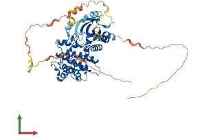 AlphaFold protein structure predicition of Human Recombinant STK32C Protein, UniprotID Q86UX6 (STK32C Protein (AA 1-486) (His tag))