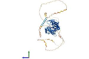 Protein Structure (PS) image for Synapsin II (SYN2) (AA 1-586) protein (His tag) (ABIN7557829)