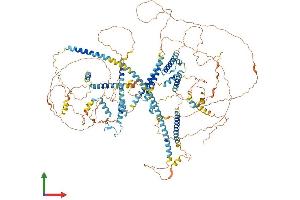 AlphaFold protein structure predicition of Mouse Recombinant Cspp1 Protein, UniprotID B2RX88