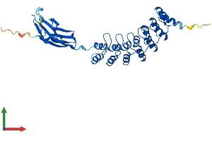 Protein Structure (PS) image for Fibronectin Type III and Ankyrin Repeat Domains 1 (FANK1) (AA 1-345) protein (His tag) (ABIN7547528)