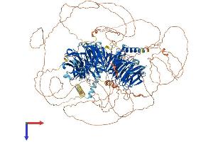 MAPKBP1 Protein (AA 1-1503) (His tag)