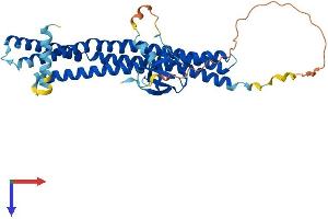 SH3GL1 Protein (AA 1-368) (His tag)