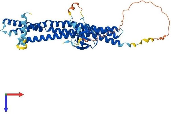 SH3GL1 Protein (AA 1-368) (His tag)
