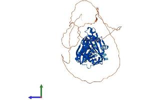 Protein Structure (PS) image for Pantothenate Kinase 1 (PANK1) (AA 1-598) protein (His tag) (ABIN7550598)