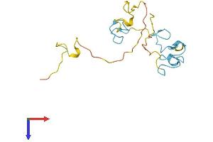 ZCCHC13 Protein (AA 1-166) (His tag)