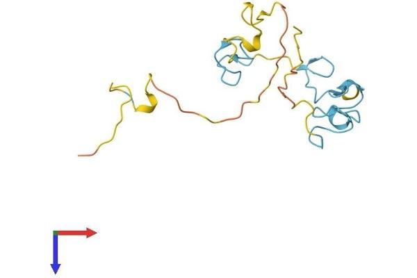 ZCCHC13 Protein (AA 1-166) (His tag)