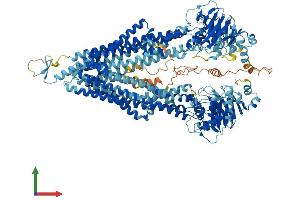 Protein Structure (PS) image for ATP-Binding Cassette, Sub-Family B (MDR/TAP), Member 11 (ABCB11) (AA 1-1321) protein (His tag) (ABIN7565154)
