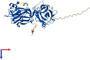 Allantoicase Protein (ALLC) (AA 1-414) (His tag)
