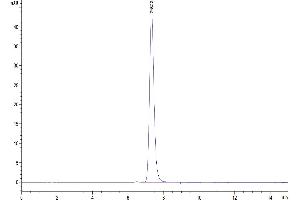 Size-exclusion chromatography-High Pressure Liquid Chromatography (SEC-HPLC) image for Bone Marrow Stromal Cell Antigen 2 (BST2) (AA 49-161) protein (Fc Tag) (ABIN7273993)