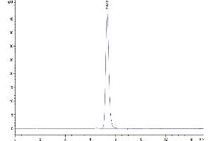 The purity of Human BST2 is greater than 95 % as determined by SEC-HPLC. (BST2 Protein (AA 49-161) (Fc Tag))