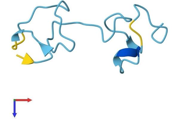 MT1E Protein (AA 1-61) (Fc Tag)