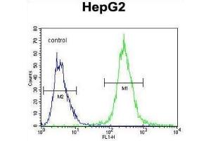 Flow Cytometry (FACS) image for anti-Partner and Localizer of BRCA2 (PALB2) antibody (ABIN2996319) (PALB2 Antikörper)