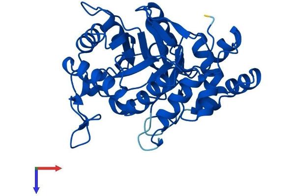 AKR1D1 Protein (AA 1-326) (His tag)