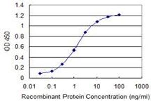 Detection limit for recombinant GST tagged SIN3A is 0. (SIN3A Antikörper  (AA 1-99))