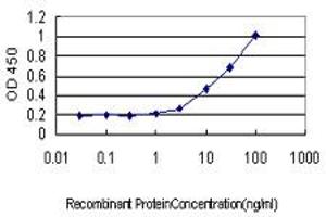 Detection limit for recombinant GST tagged HHEX is approximately 0. (HHEX Antikörper  (AA 1-270))