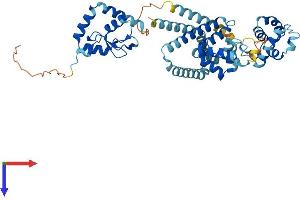 BFAR Protein (AA 1-450) (His tag)