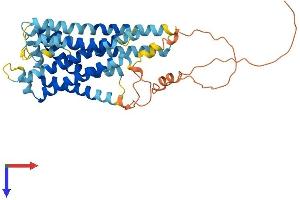 GPR143 Protein (AA 1-405) (His tag)