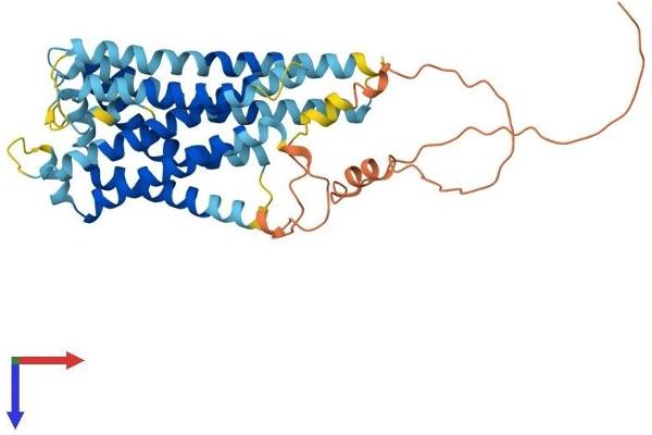 GPR143 Protein (AA 1-405) (His tag)