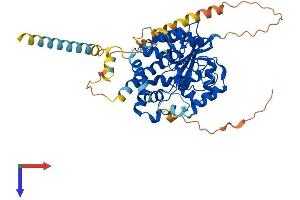 CHST7 Protein (AA 1-486) (His tag)