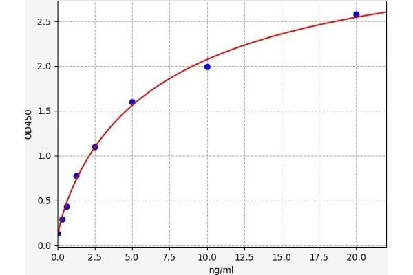 Dopamine Receptor d1 ELISA Kit