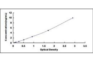 Typical standard curve (TYROBP ELISA Kit)