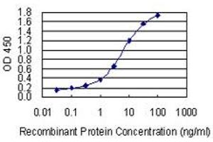 Detection limit for recombinant GST tagged CTNND2 is 0. (CTNND2 Antikörper  (AA 1081-1190))